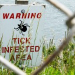 Stay away from ticks