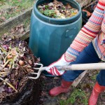 Composting is one approach to food waste.